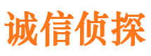 黎平婚外情调查取证